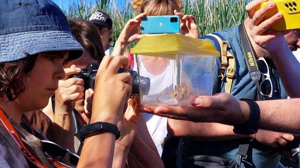 Participants a les Sortides Naturalistes a Osona observant un exemplar trobat al camp
