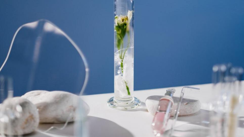 Un flascó amb una flor a dins submergida en un líquid