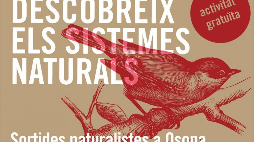 Cartell de les Sortides Naturalistes d'Osona 2022